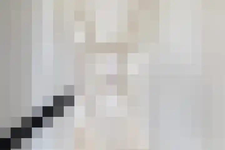 De Tsjotter 3 Hallum thumbnail 21