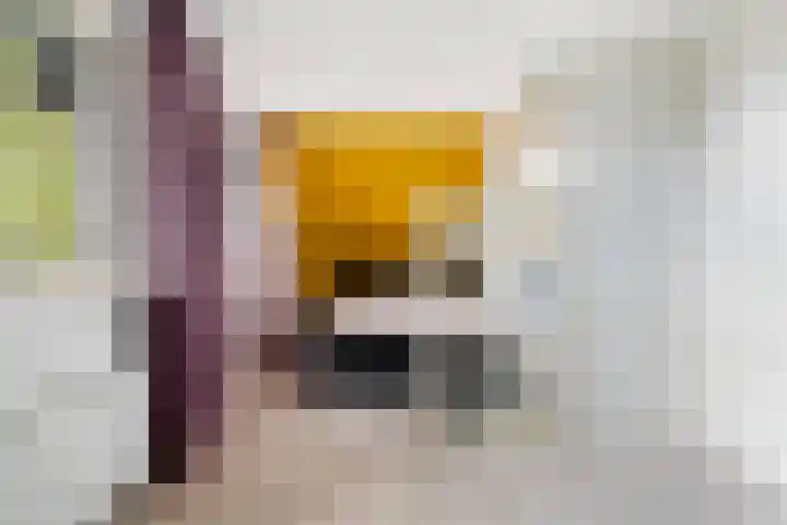 De Tsjotter 3 Hallum thumbnail 23