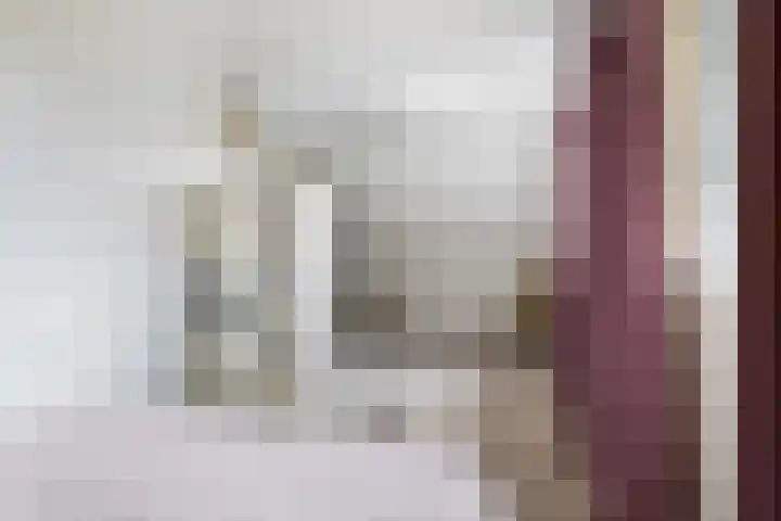 De Tsjotter 3 Hallum thumbnail 24