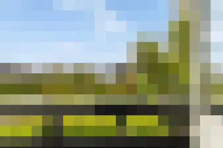 De Tsjotter 3 Hallum thumbnail 25