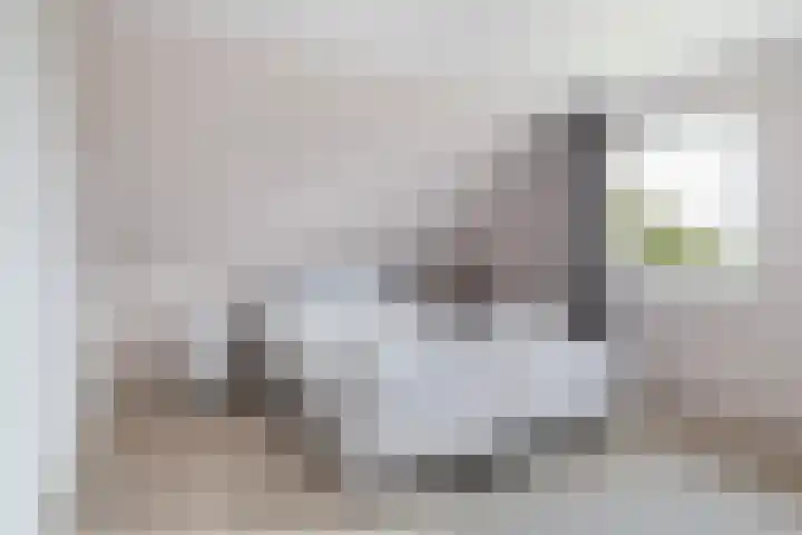 De Tsjotter 3 Hallum thumbnail 27