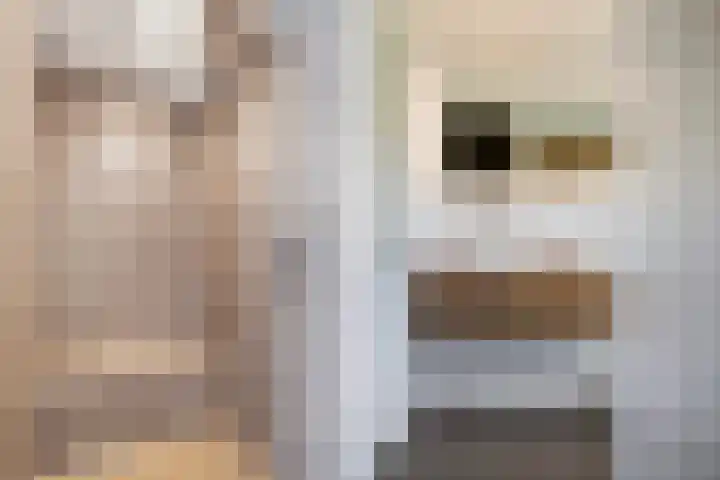 De Tsjotter 3 Hallum thumbnail 32