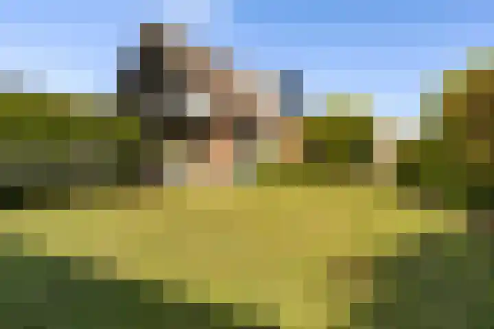 De Tsjotter 3 Hallum thumbnail 34