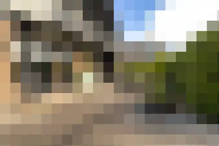 De Tsjotter 3 Hallum thumbnail 35