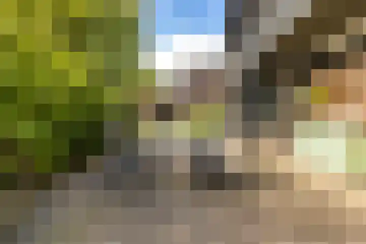 De Tsjotter 3 Hallum thumbnail 36