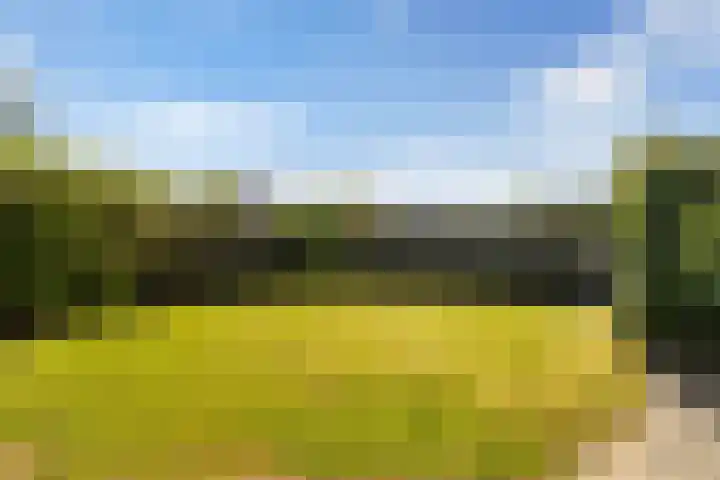 De Tsjotter 3 Hallum thumbnail 39
