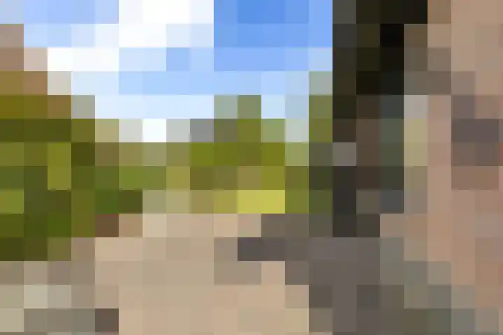 De Tsjotter 3 Hallum thumbnail 40