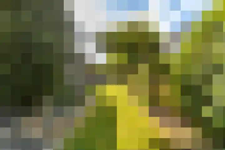 De Tsjotter 3 Hallum thumbnail 43