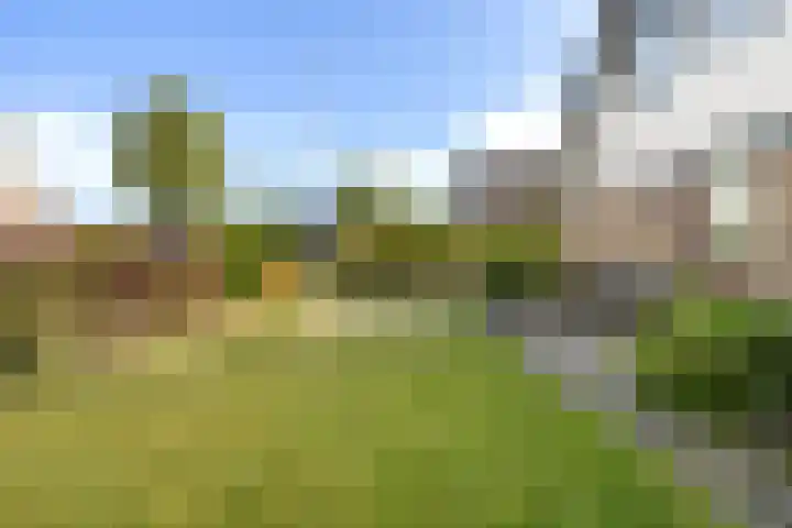 De Tsjotter 3 Hallum thumbnail 45