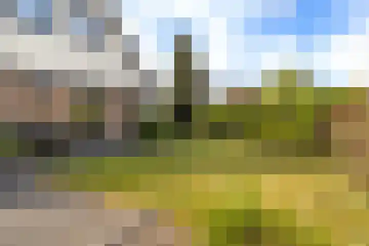 De Tsjotter 3 Hallum thumbnail 46