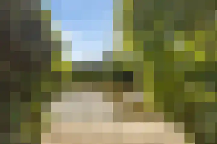 De Tsjotter 3 Hallum thumbnail 47