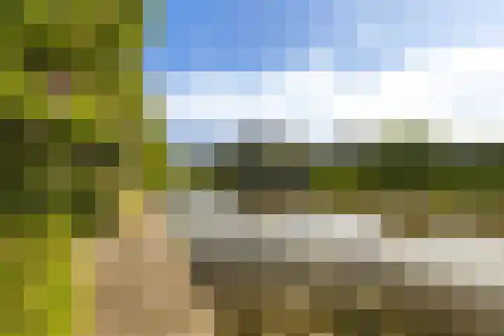 De Tsjotter 3 Hallum thumbnail 48
