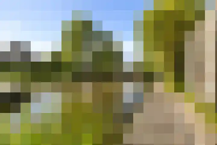 De Tsjotter 3 Hallum thumbnail 49