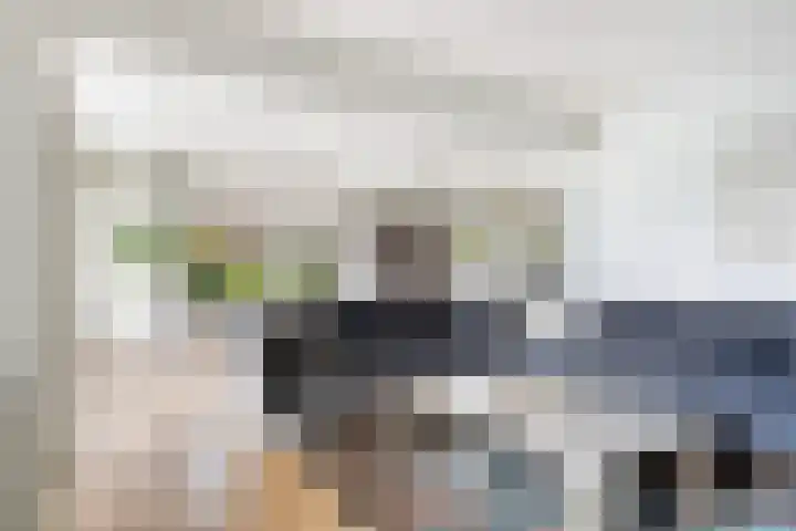 De Tsjotter 3 Hallum thumbnail 5
