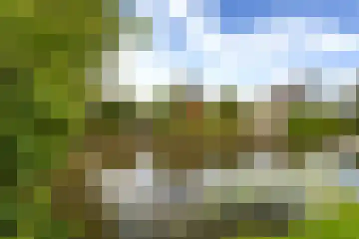 De Tsjotter 3 Hallum thumbnail 50