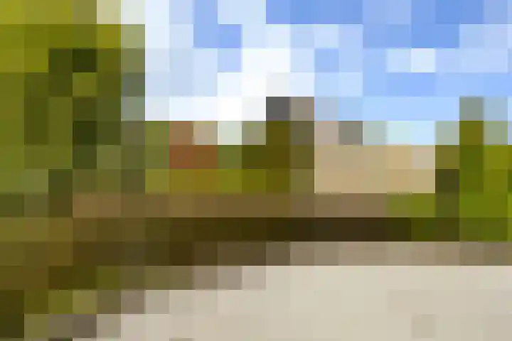 De Tsjotter 3 Hallum thumbnail 51