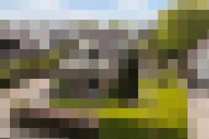 De Tsjotter 3 Hallum thumbnail 58