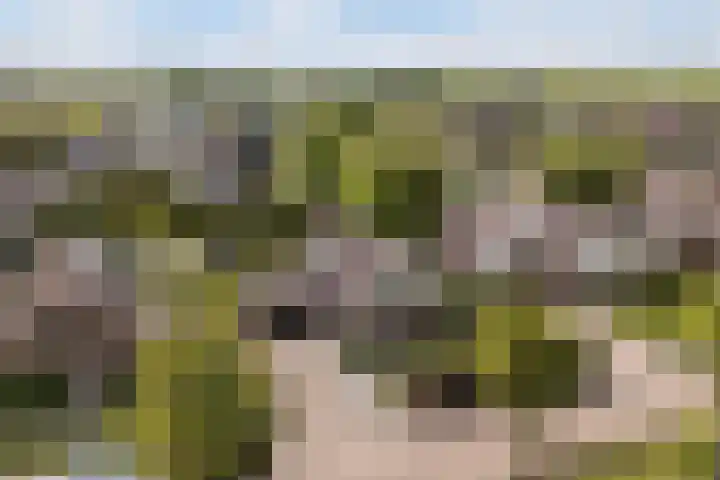 De Tsjotter 3 Hallum thumbnail 59