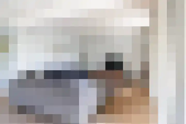 De Tsjotter 3 Hallum thumbnail 6
