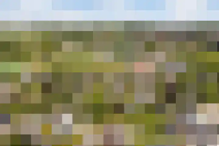 De Tsjotter 3 Hallum thumbnail 61