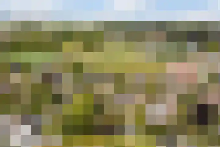 De Tsjotter 3 Hallum thumbnail 62
