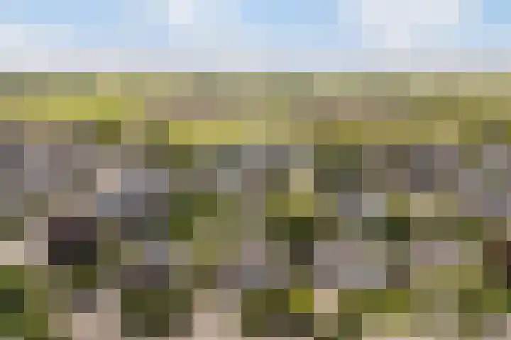 De Tsjotter 3 Hallum thumbnail 63