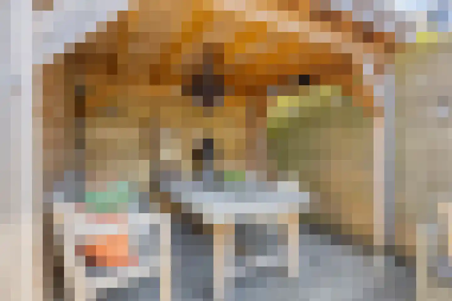 De Tsjotter 3 Hallum thumbnail 64