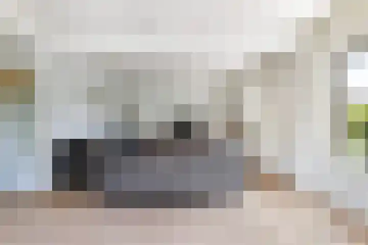 De Tsjotter 3 Hallum thumbnail 7
