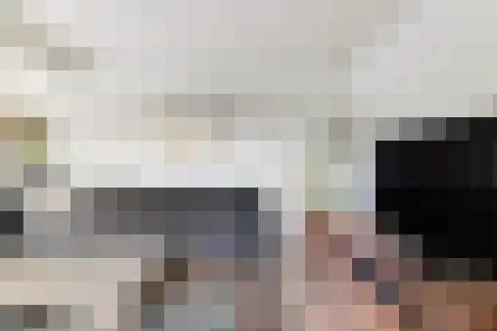 De Tsjotter 3 Hallum thumbnail 8