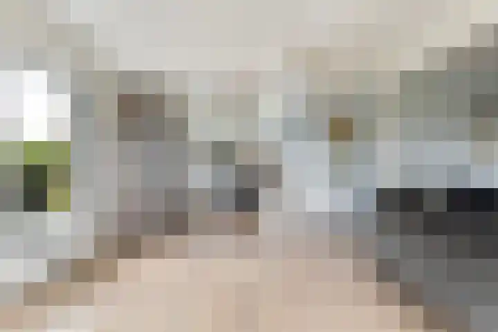 De Tsjotter 3 Hallum thumbnail 9