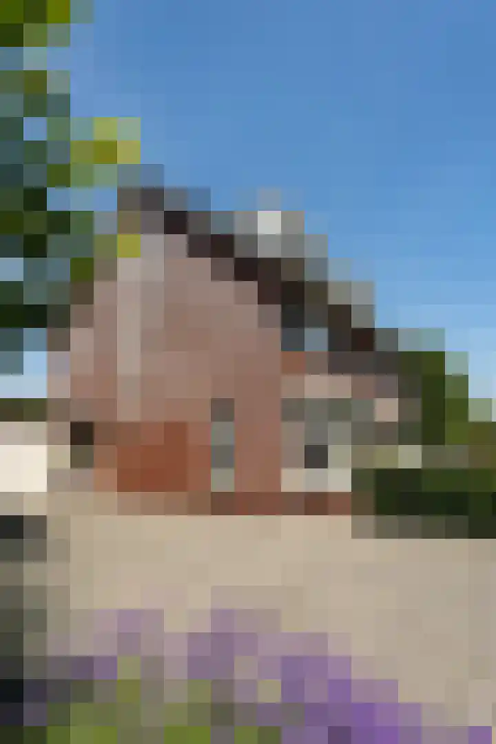De Tuier 5 Groesbeek thumbnail 4