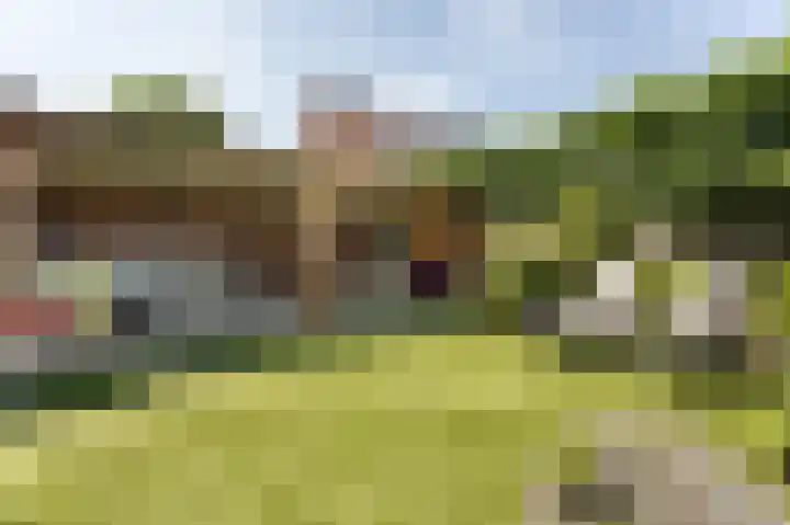 De Tuier 5 Groesbeek thumbnail 48