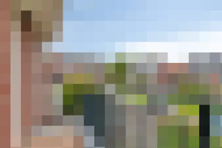 De Tuier 84 Groesbeek thumbnail 27