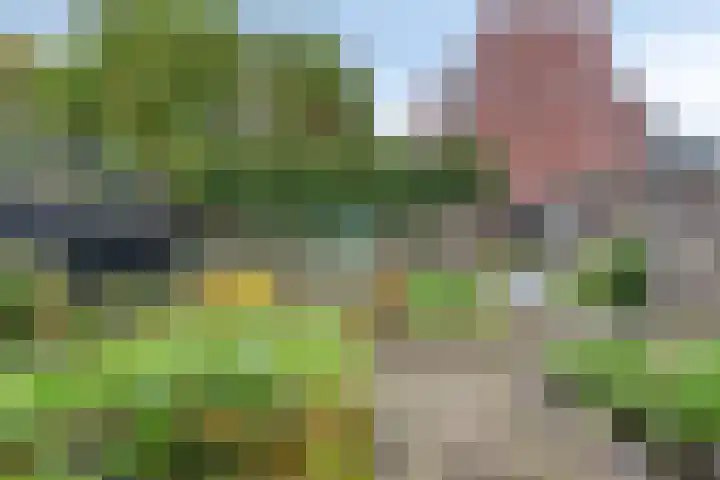 De Tuier 84 Groesbeek thumbnail 37