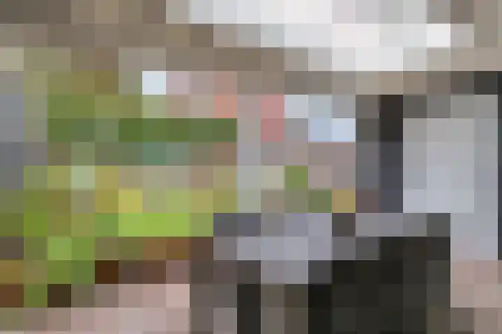 De Tuier 84 Groesbeek thumbnail 39