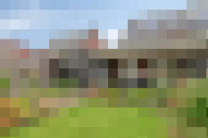 De Tuier 84 Groesbeek thumbnail 4