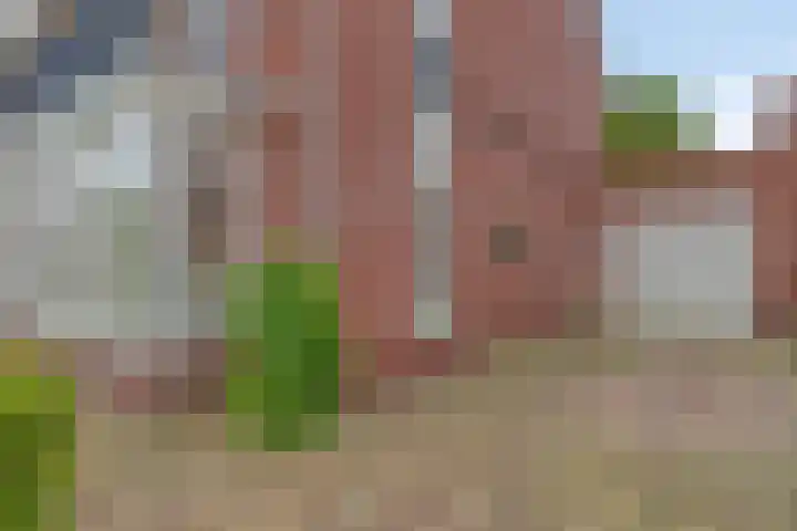 De Tuier 84 Groesbeek thumbnail 40