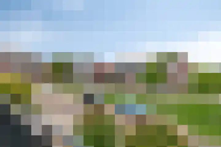 De Tuier 84 Groesbeek thumbnail 44