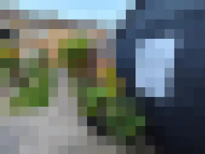 De Tuije 61 Garyp thumbnail 10