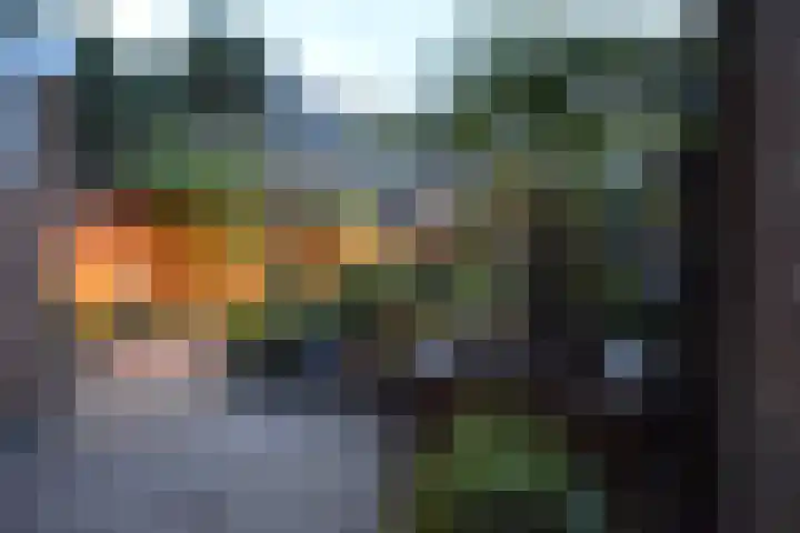 De Tuije 61 Garyp thumbnail 12