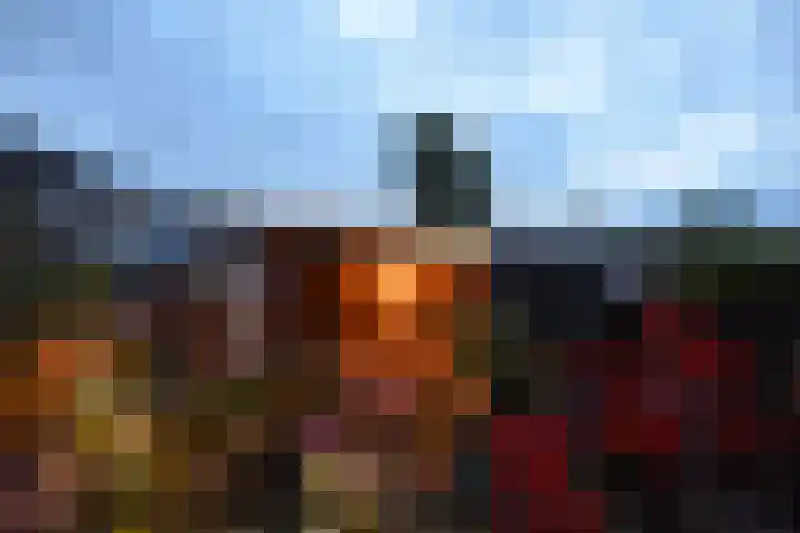De Tuije 61 Garyp thumbnail 14