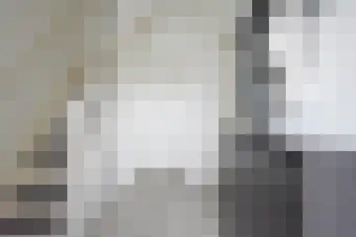 De Tuije 61 Garyp thumbnail 19