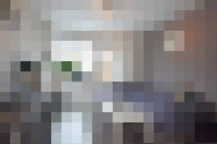 De Tuije 61 Garyp thumbnail 21