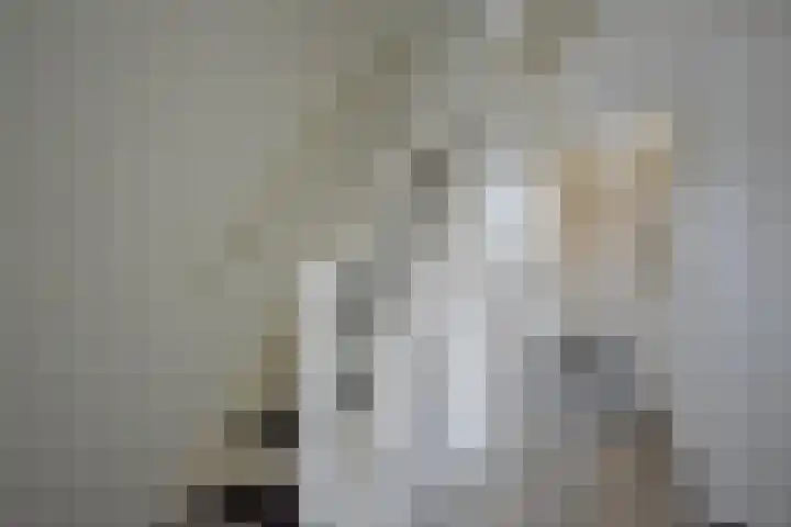De Tuije 61 Garyp thumbnail 25