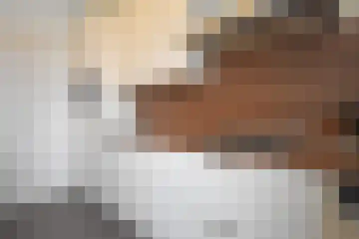De Tuije 61 Garyp thumbnail 27