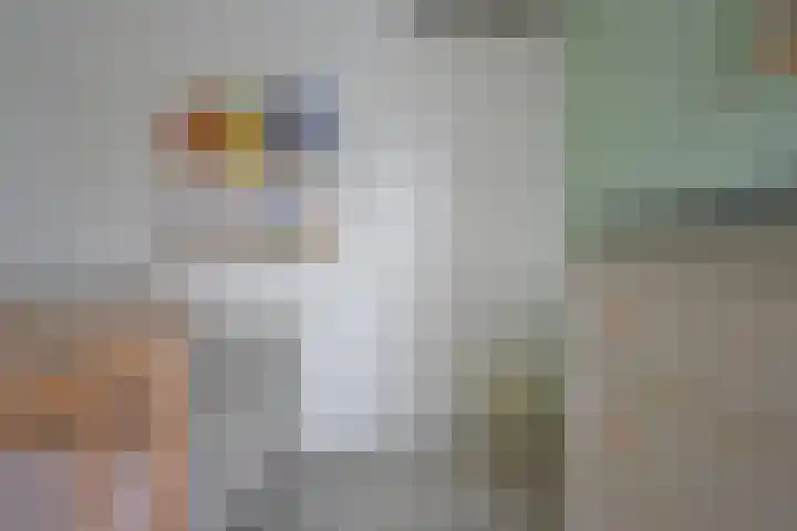 De Tuije 61 Garyp thumbnail 33