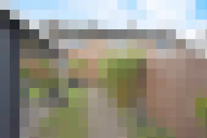 De Tuije 61 Garyp thumbnail 4