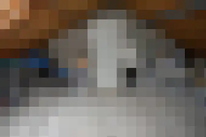 De Tuije 61 Garyp thumbnail 48
