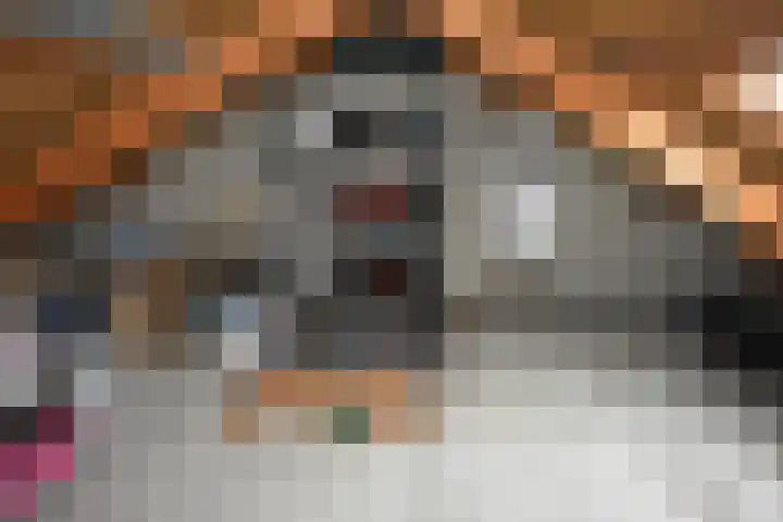 De Tuije 61 Garyp thumbnail 49