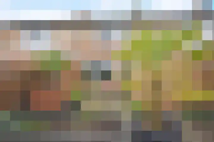 De Tuije 61 Garyp thumbnail 5